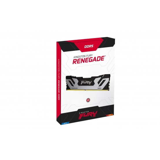 Memorie Kingston FURY Renegade Silver KF588CU42RS-24