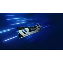 Memorie Kingston FURY Renegade Silver KF588CU42RS-24