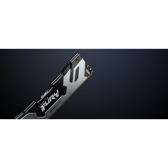 Memorie Kingston FURY Renegade Silver KF588CU42RS-24