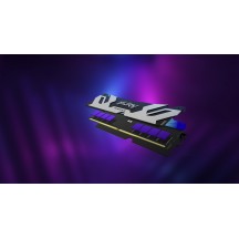 Memorie Kingston FURY Renegade RGB Silver KF588CU42RSA-24