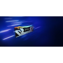 Memorie Kingston FURY Renegade RGB Silver KF588CU42RSAK2-48