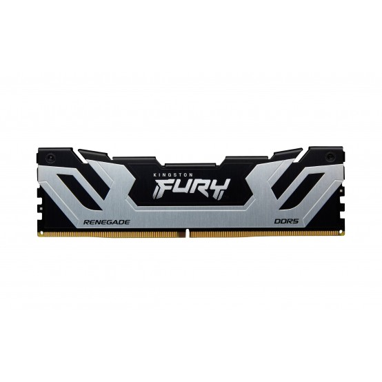 Memorie Kingston FURY Renegade Silver KF588CU42RSK2-48