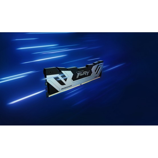 Memorie Kingston FURY Renegade Silver KF588CU42RSK2-48