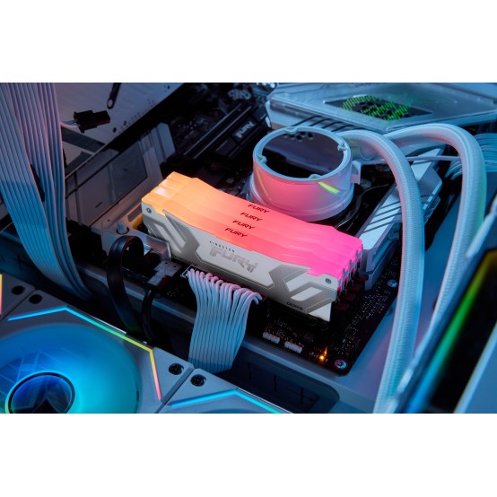 Memorie Kingston FURY Renegade RGB White KF588CU42RWA-24