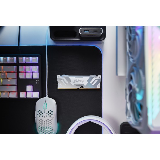 Memorie Kingston FURY Renegade RGB White KF588CU42RWA-24