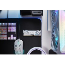 Memorie Kingston FURY Renegade RGB White KF588CU42RWA-24