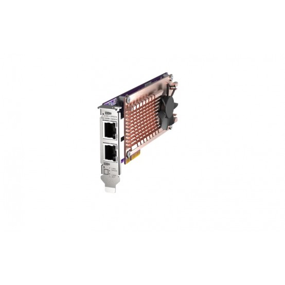 Placa de retea QNAP  QM2-2P2G2T