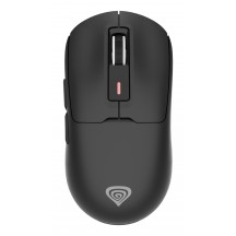 Mouse Genesis Zircon 660 NMG-2191
