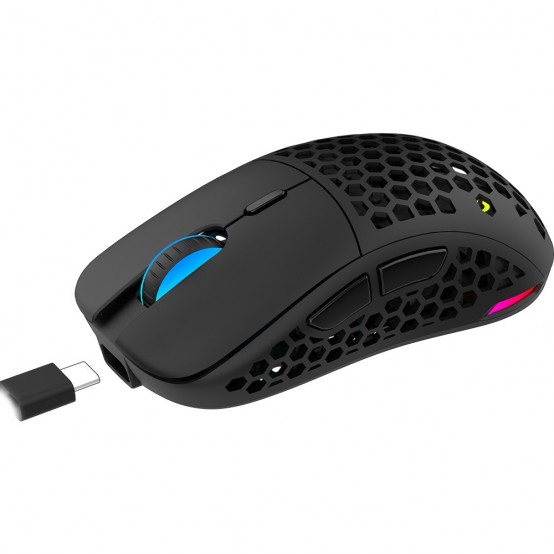 Mouse Aqirys T.G.A. AQRYS_TGA