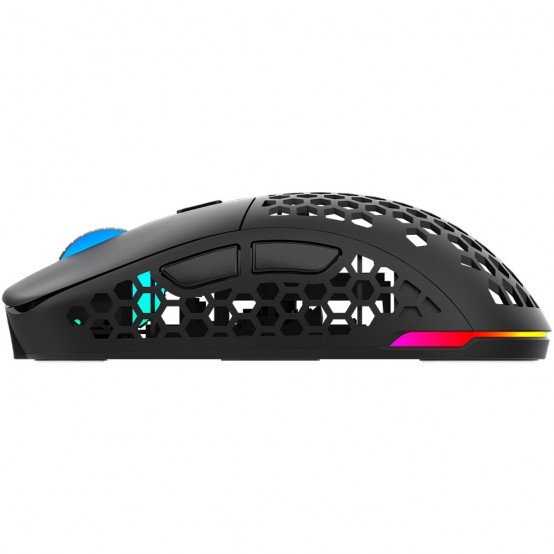 Mouse Aqirys T.G.A. AQRYS_TGA