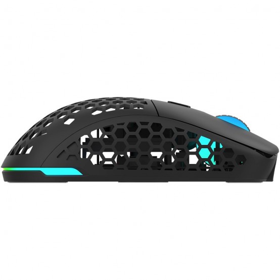 Mouse Aqirys T.G.A. AQRYS_TGA