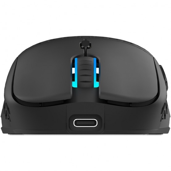 Mouse Aqirys T.G.A. AQRYS_TGA