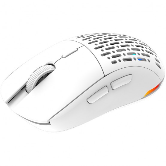 Mouse Aqirys T.G.A. Alpha AQRYS_TGAALPHA