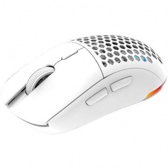 Mouse Aqirys T.G.A. Alpha AQRYS_TGAALPHA