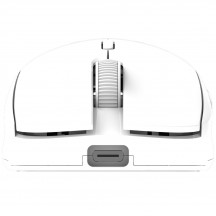 Mouse Aqirys T.G.A. Alpha AQRYS_TGAALPHA