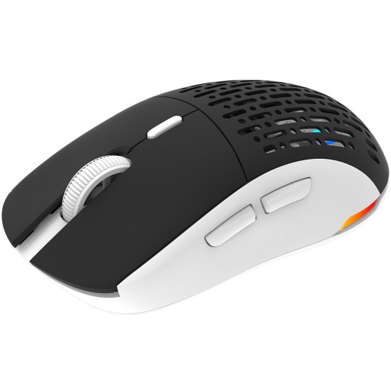 Mouse Aqirys T.G.A. Alpha AQRYS_TGAALPHA