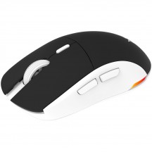 Mouse Aqirys T.G.A. Alpha AQRYS_TGAALPHA