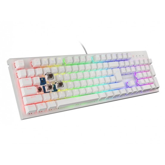 Tastatura Genesis Thor 303 NKG-1861