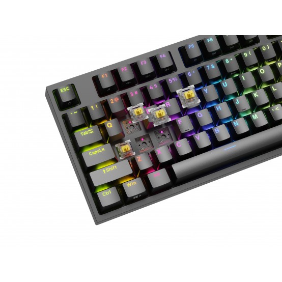 Tastatura Genesis Thor 404 TKL NKG-2069