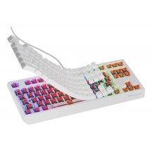 Tastatura Genesis Thor 230 TKL NKG-2078