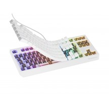 Tastatura Genesis Thor 230 TKL NKG-2080