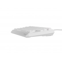 Tastatura Genesis Thor 230 TKL NKG-2080