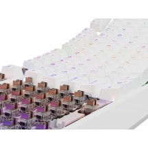 Tastatura Genesis Thor 230 TKL NKG-2080