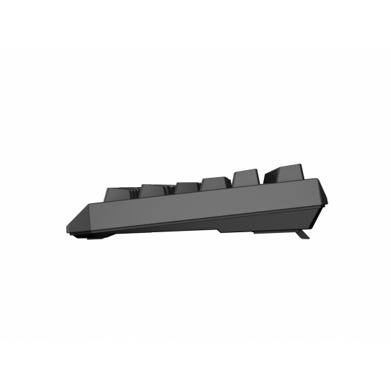 Tastatura Genesis Thor 230 TKL NKG-2106