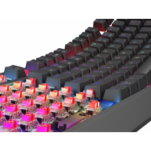 Tastatura Genesis Thor 230 TKL NKG-2106