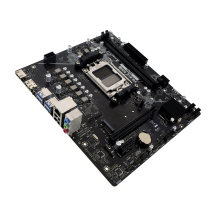 Placa de baza Biostar  A620MS