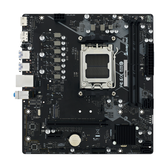 Placa de baza Biostar  A620MS