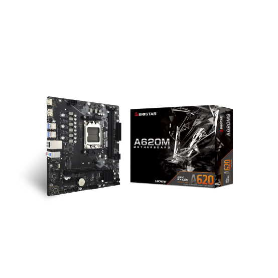 Placa de baza Biostar  A620MS