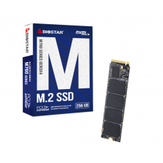 SSD Biostar M760 M760-256GB