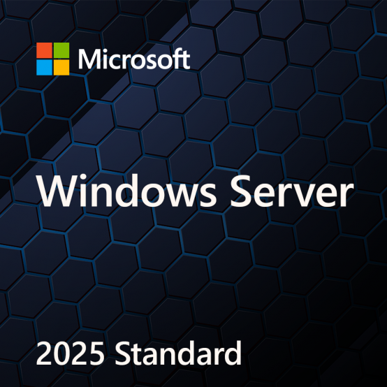 Sistem de operare Microsoft Windows Server Standard 2025 EP2-25187