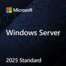 Sistem de operare Microsoft Windows Server Standard 2025 EP2-25187