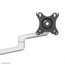 Suport Neomounts  DS60-425WH1