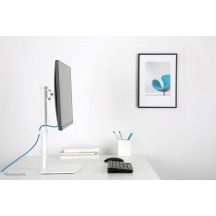 Suport Neomounts  FPMA-D890WHITE