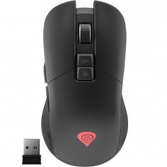 Mouse Genesis Zircon 330
