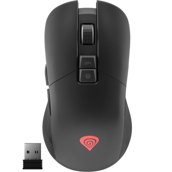 Mouse Genesis Zircon 330