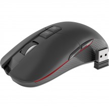 Mouse Genesis Zircon 330