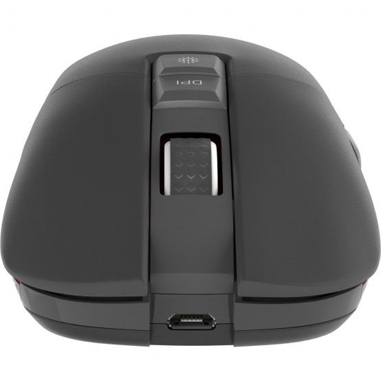 Mouse Genesis Zircon 330