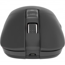 Mouse Genesis Zircon 330