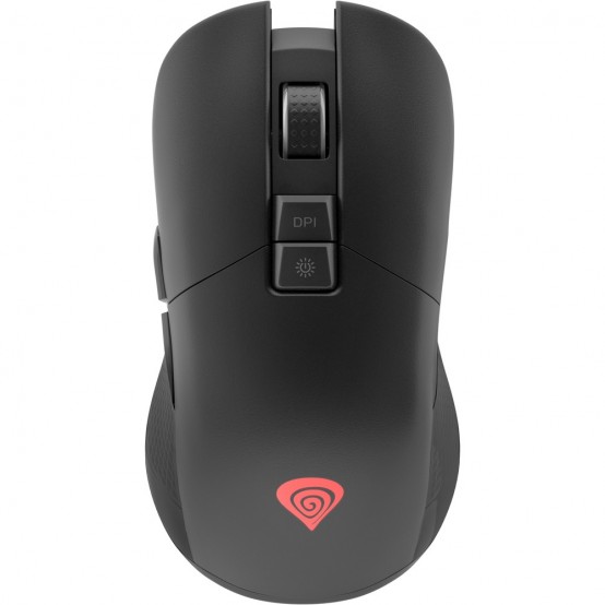 Mouse Genesis Zircon 330