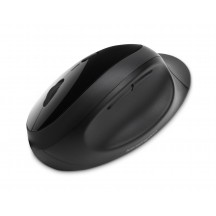 Mouse Kensington Pro Fit Ergo K75404EU
