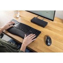 Mouse Kensington Pro Fit Ergo K75404EU
