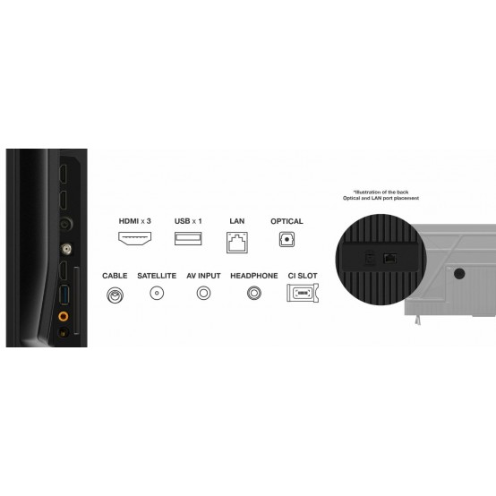 Televizor TCL  43P61B