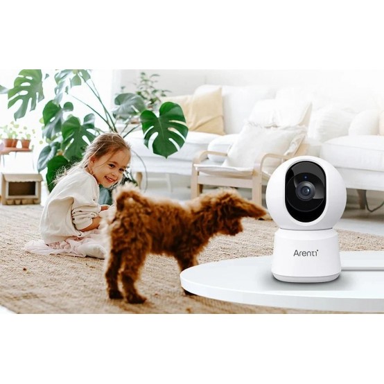 Camera de supraveghere Arenti  P2Q