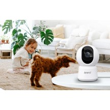 Camera de supraveghere Arenti  P2Q