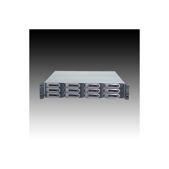 NAS Promise VTrak E310s F29V31S20000005