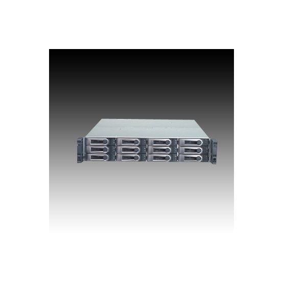NAS Promise VTrak E310f P29V31F20000G02